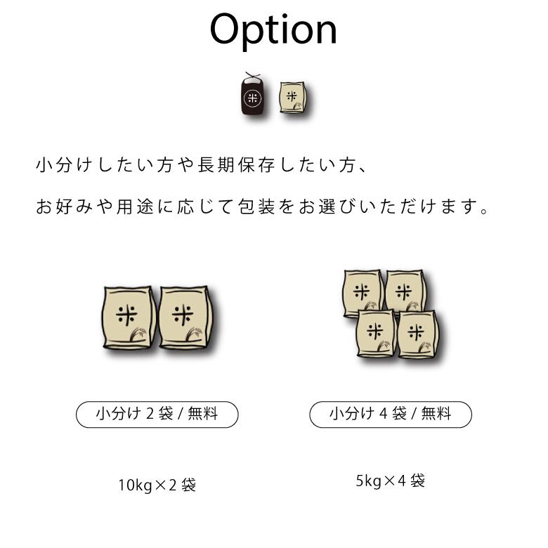 新米使用 米 お米 20kg 送料無 こし姫 コシヒカリ こしひかり 無洗米 九州産 令和5年産米使用 20kg 訳あり米 ブレンド米 オリジナルブレンド米