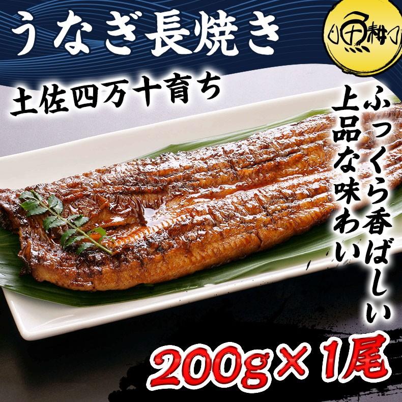 うなぎ 四万十うなぎ 超特大サイズ 国産 蒲焼き 長焼き 約200g