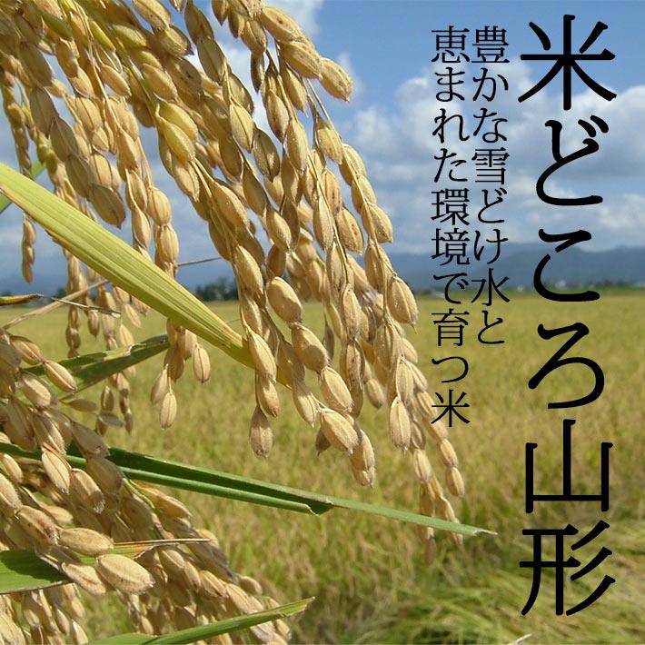 令和5年 米 10kg お米 長期備蓄 約5年 無洗米 つや姫 夢味米 10kg 2kgx5袋 冬眠密着包装 真空パック 送料無料 山形県産 東北食糧