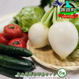  旬の新鮮な野菜セット 6種＜野菜詰め合わせセット＞ ＜出荷時期：2022年7月1～8月31日ごろ＞