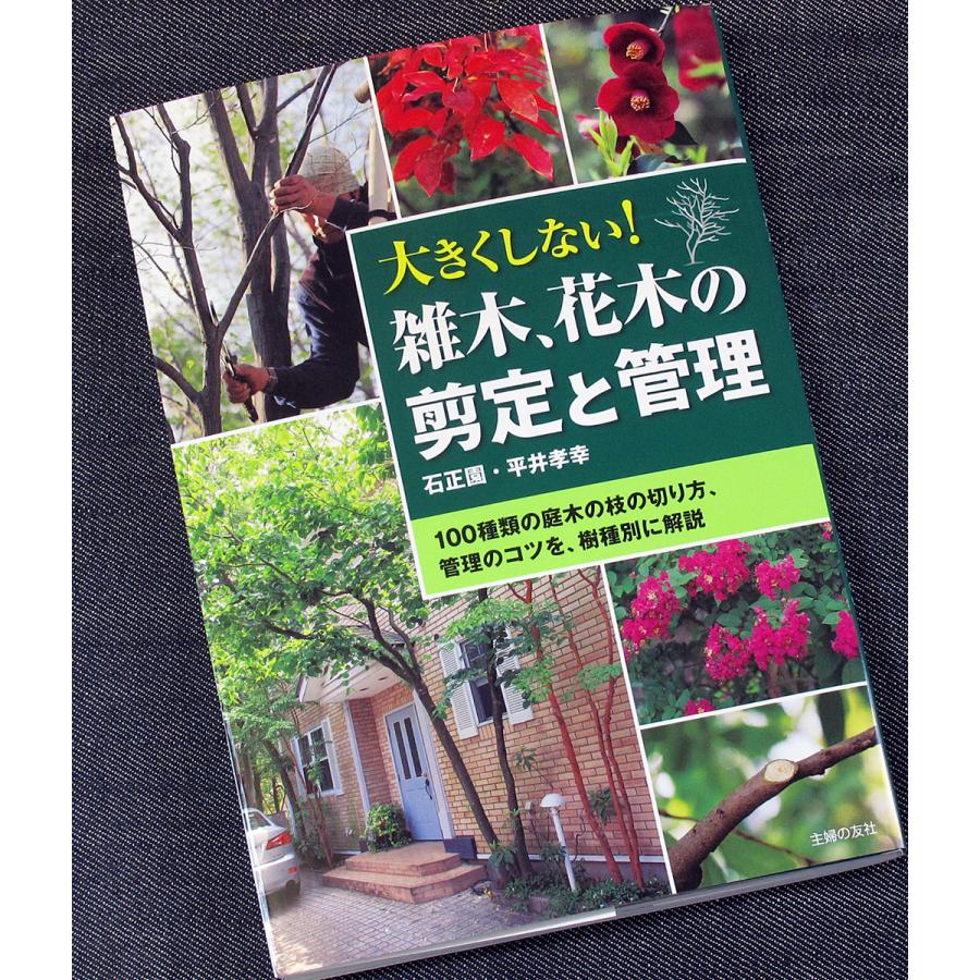 雑木、花木の剪定と管理-100種類の庭木の枝の切り方