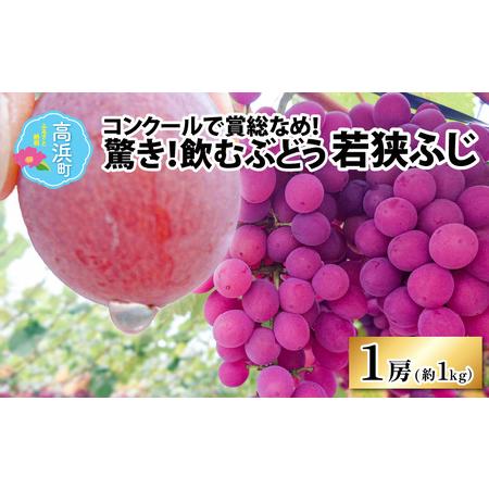 ふるさと納税 受賞歴多数！飲むぶどう 若狭ふじ 1房(約1kg) ≪2024年8月中旬より順次発送≫ 福井県高浜町