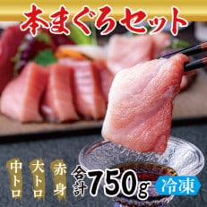 絶品!本マグロ セット 大トロ 250g   中トロ 250g   赤身 250g(すべて柵どり)