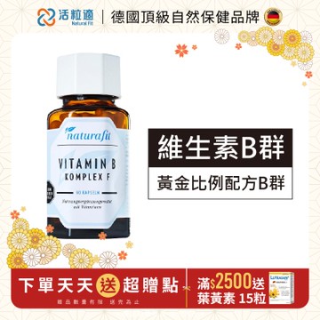 【德國 活粒適】維生素B群 90粒