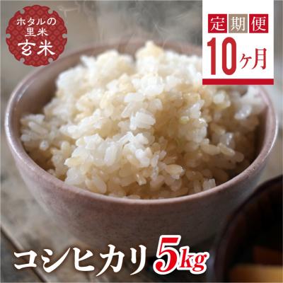 ふるさと納税 西会津町  栽培期間中、農薬を減らした栽培米 コシヒカリ玄米5kg