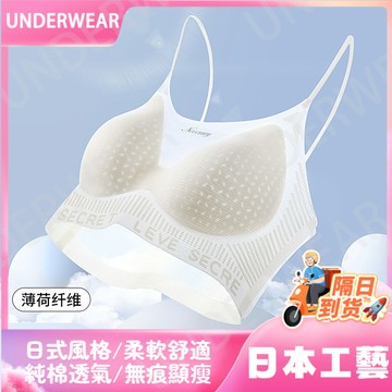 🚀虧本到貨🚀日本🇯🇵夏季輕薄款無痕內衣女小胸聚攏無縫涼感細肩帶透氣吸汗美背文胸罩