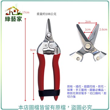 【綠藝家】尖嘴直刀片6-1/2"不銹鋼芽切剪(葡萄剪)33005Z-1