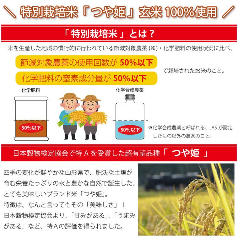 もち麦ごはん 2種12食セット（スーパー大麦入りもち麦玄米ご飯、もち麦入り 生姜炊き込みご飯 各6パック） はぐろ庵 城北麺工 お歳暮 のし対応可