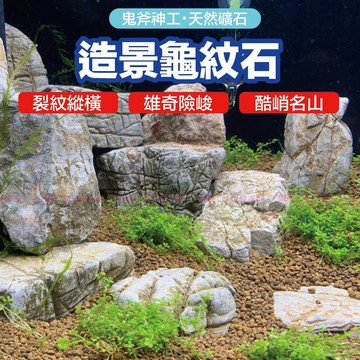 魚寶貝✨【龜紋石】自然奇石〞山巒縮景裂紋縱橫/雄奇險峻<魚缸裝飾 魚缸造景 水草造景 水草裝飾 水族岩石 園藝造景