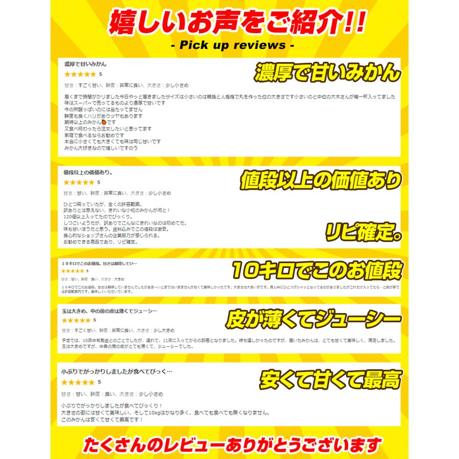 みかん 10kg 熊本産 大特価 みかん ご家庭用 送料無料 食品