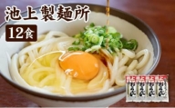 讃岐生うどん12食入（1袋3食入×4袋）＊鎌田醤油だし醤油付＊  池上製麺所監修！｜うどん 生麺