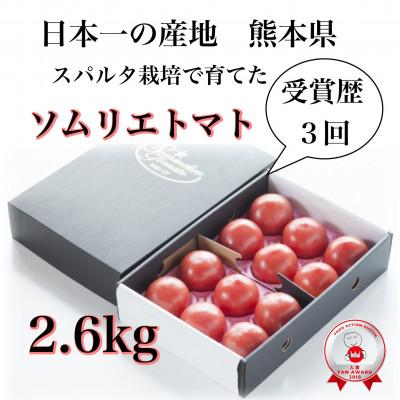 ふるさと納税 玉名市 2017年野菜ソムリエサミットで2回連続銀賞「ソムリエトマト2.6kg」