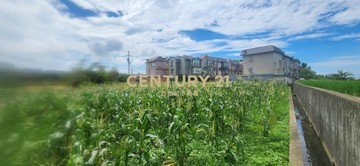 新豐風車之戀美田+合法資材室｜新竹縣新豐鄉員山