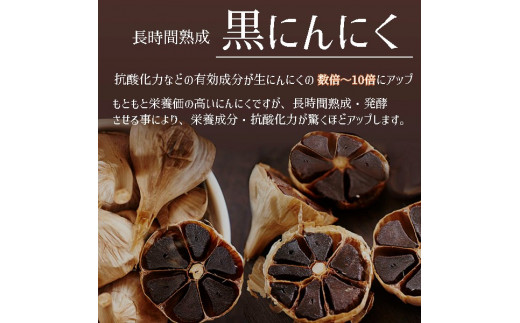 玄米核酸 黒にんにく 1箱24包 舞鶴産黒ニンニク ペースト