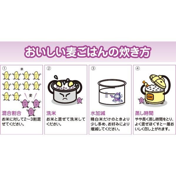 讃岐もち麦「ダイシモチ」（500ｇ） クロネコメール便　国産もちむぎ１００％　代引き不可