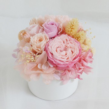 情人節禮物花束媽咪小寶貝6 盆花 求婚告白情人節生日男/女生中秋