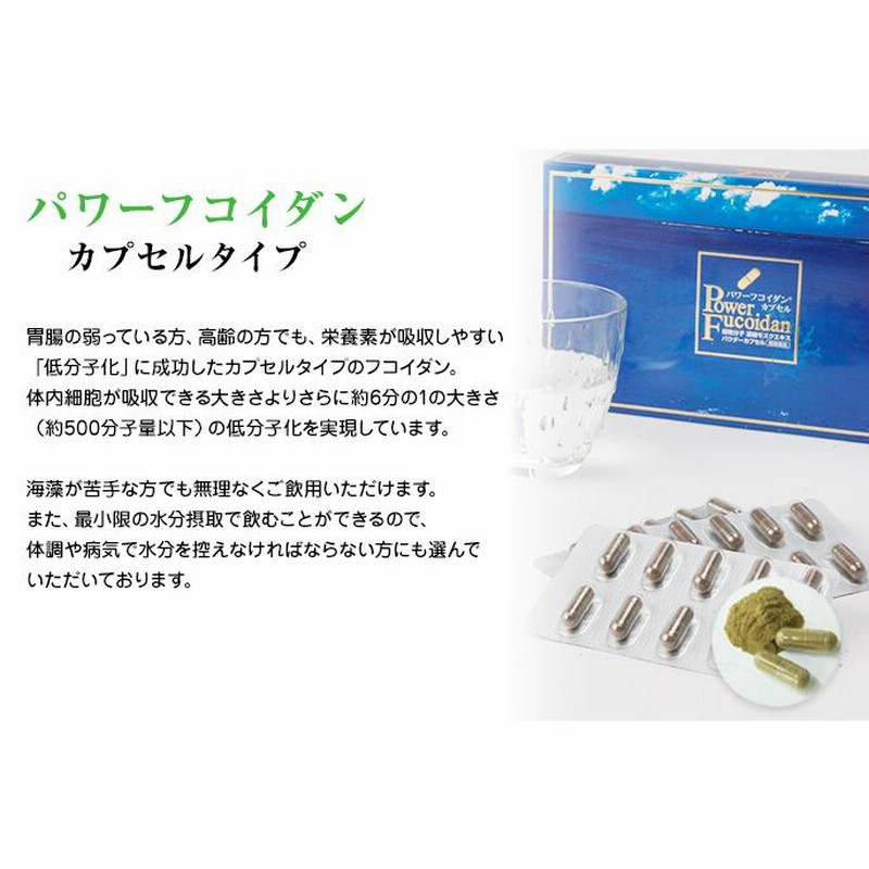 パワーフコイダン 50g×20包 【公式通販】