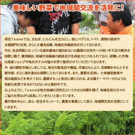 たまねぎ 玉ねぎ もみじ 3kg 有機肥料 訳あり