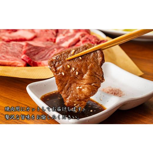 ふるさと納税 兵庫県 淡路市 淡路牛ハラミ焼肉 500g（250ｇ×2ＰＣ）