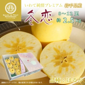 [予約 11月15日～12月15日]  いわて純情プレミアム 冬恋 約2.5kg 8-12玉 岩手県産 りんご 冬ギフト お歳暮 御歳暮