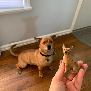 【客製化3D寵物紀念公仔】訂製手作似顏繪肖像狗狗貓咪毛小孩娃娃