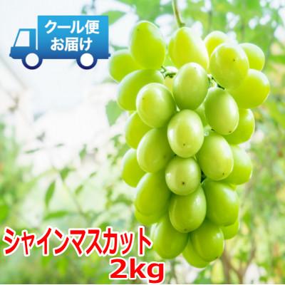 ふるさと納税 南アルプス市 安心のクール便発送　シャインマスカット　2kg (3〜4房)　山梨県南アルプス市