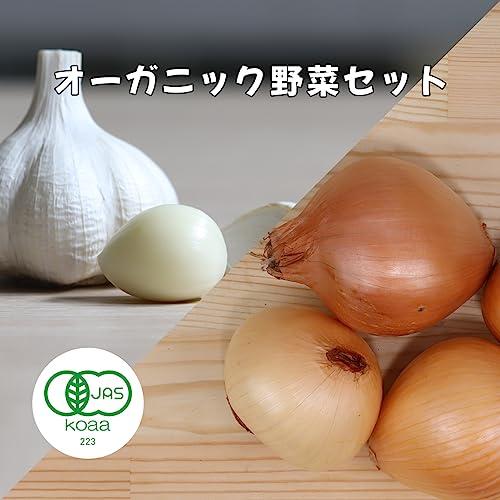 宮崎県産のお手軽オーガニック野菜セット