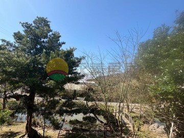 龜山【大坑段都計農】地勢平坦，大面寬好規劃｜桃園市龜山區大坑