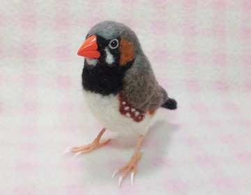 仿真尺寸♪ 斑 finch (錦花鳥/錦華鳥) 羊毛氈 訂製 仿真尺寸 羊毛小鸚鵡 羊毛玩偶 工房小鳥屋
