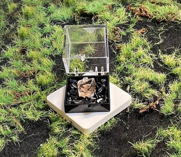 天然雙尖帶彩茶閃靈共生水晶×黑曜石淨化石淨化能量套組
