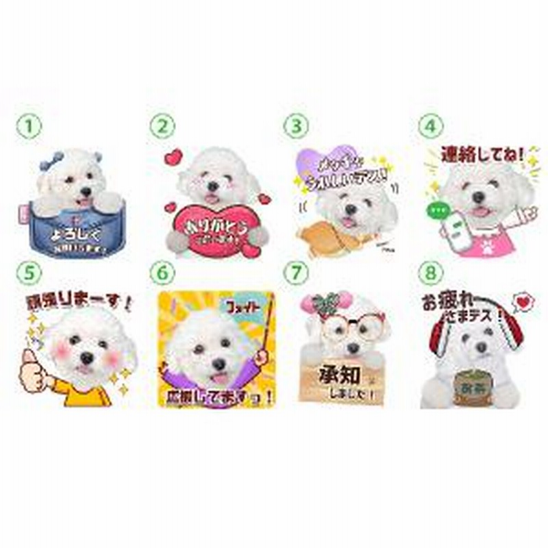 うちの子lineスタンプ ポジティブ日常会話セット 写真でつくるオリジナルlineスタンプ 犬用 通販 Lineポイント最大7 0 Get Lineショッピング