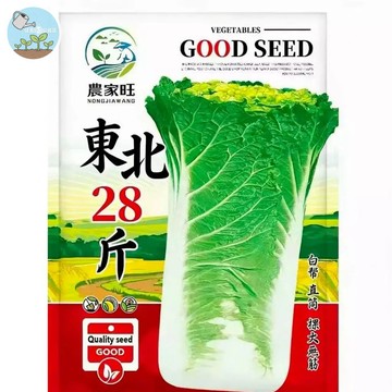 【原廠包裝】東北28斤大白菜種子（Northeast 28 Pound Cabbage）3克 包心結球白菜 耐寒高產量大