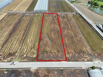 太保白鴿小段大面寬方正農地｜嘉義縣太保市白鴿厝