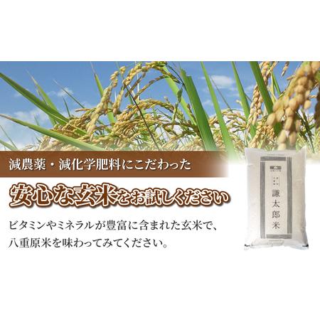 ふるさと納税 八重原産特別栽培米（減農薬・減化学肥料栽培）コシヒカリ玄米１０kg 長野県東御市