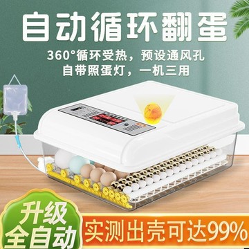 🔥熱銷中🔥110V孵化機小型家用孵蛋器 雞鴨鵝鴿子孵化器 全自動小雞雞蛋孵化機 孵蛋器 雙電源孵化器