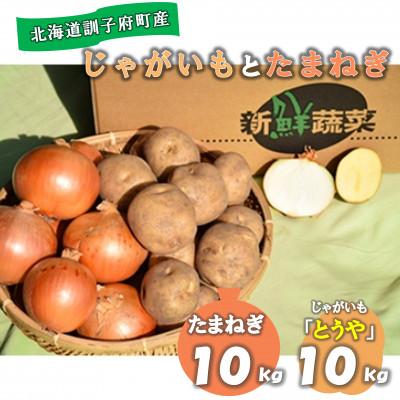 ふるさと納税 訓子府町 佐藤農場のじゃがいも「とうや」10kgと玉葱10kgセット