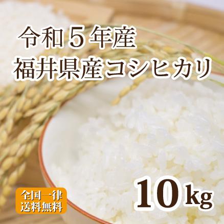 令和５年産 福井県産コシヒカリ 10kg 白米 安い ５kg×２ 単一原料米 送料無料