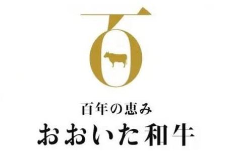 おおいた和牛 サーロインステーキ (計800g・200g×4枚) サーロイン ステーキ 国産 4等級 冷凍 和牛 牛肉 大分県 佐伯市