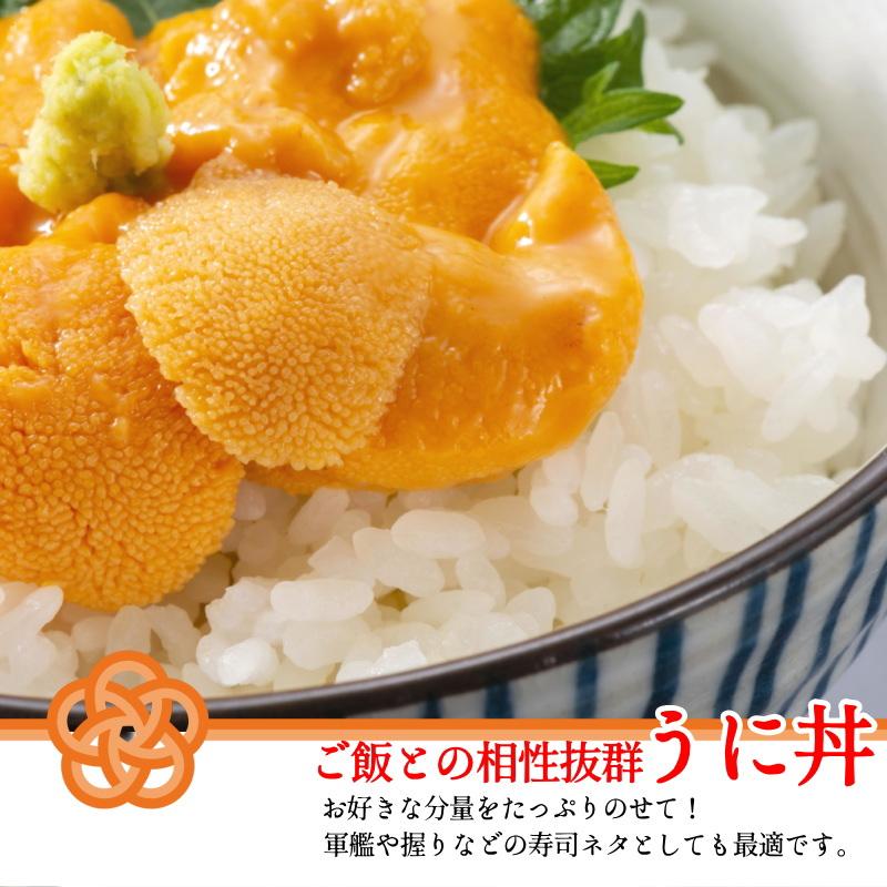 国産うに 200g  うに  岩手県産　箱入り　生うに 100g×２パックセット 冷凍　ブランチウニ　国産 雲丹　・国産ウニ２P・