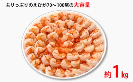 特撰 高級むきえび（ブラックタイガー）約1kg（解凍後約900g）／約70～100尾 3回分計約3kg