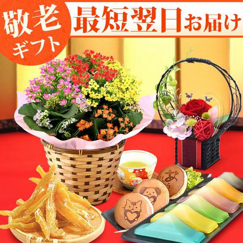 敬老の日 プレゼント ギフト 花 鉢花 鉢植え 珍しい 花とスイーツ りんどう ベコニア お菓子 60代 70代 80代 Flower Dset 通販 Lineポイント最大0 5 Get Lineショッピング