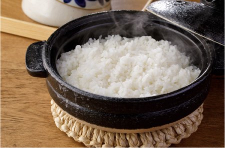 多賀城のお米　令和5年産ササニシキ　玄米30kg　