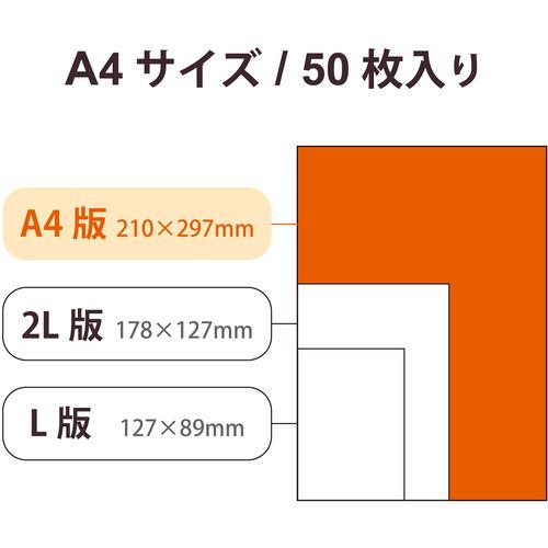 エレコム EJK-TVLA450 写真用光沢紙 バリュー 薄手 A4 50枚 EJKTVLA450