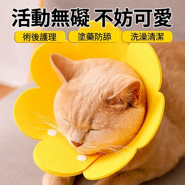 太陽花伊莉莎白圈貓咪絕育項圈 伊莉莎白圈防舔頸圈頭套狗狗脖圈 小奶貓專用項圈防掙脫可調節 貓咪防護罩