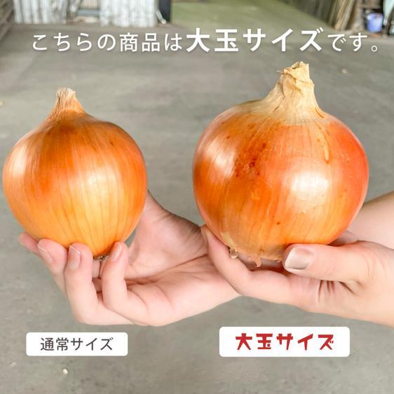 野菜 玉ねぎ あさひサンファームの淡路島たまねぎ  特別栽培 産地直送