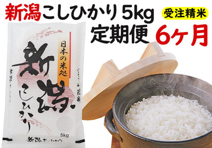 米 ６ヶ月定期便 令和５年産 新潟 コシヒカリ ５kg 白米 精米 精米仕立てを発送致します