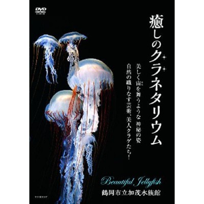 ハワイアン名曲集(3)マウイ島・モロカイ島 DVD | LINEショッピング