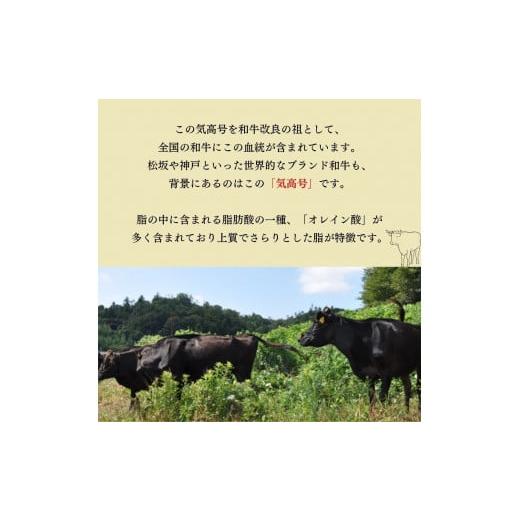 ふるさと納税 鳥取県 倉吉市 鳥取和牛　焼肉用赤身肉1.2kg 国産 牛肉 焼肉 小分け 赤身 ウデ モモ バーベキュー