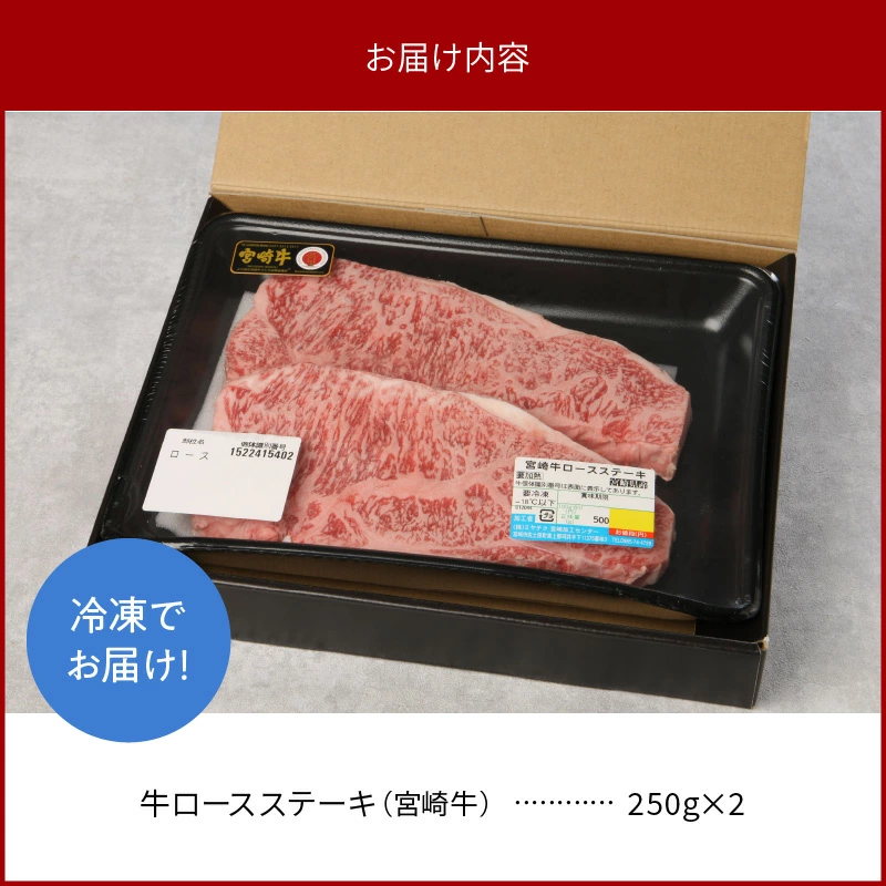 宮崎牛 ロース ステーキ 250g×2 計500g　N0147-ZB117