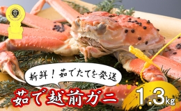 茹で越前ガニ食通もうなる本場の味をぜひ、ご堪能ください。約1.3kg以上 越前がに 越前かに 越前カニ カニ ボイルガニ